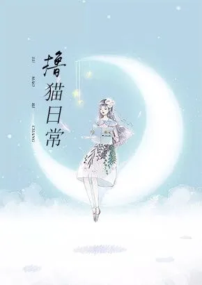 撸猫日常
