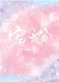 宠粉